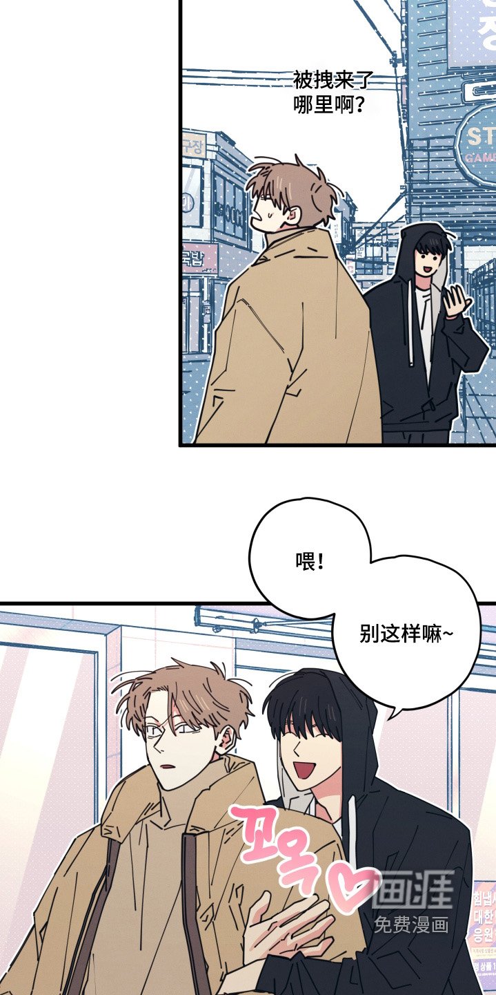 第19章：到底吃什么
