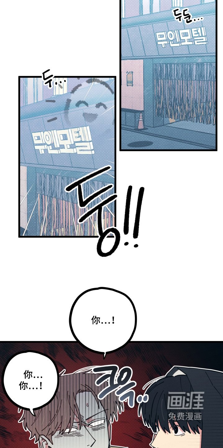 第19章：到底吃什么