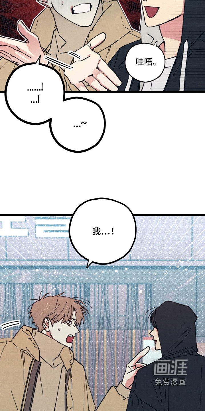 第19章：到底吃什么