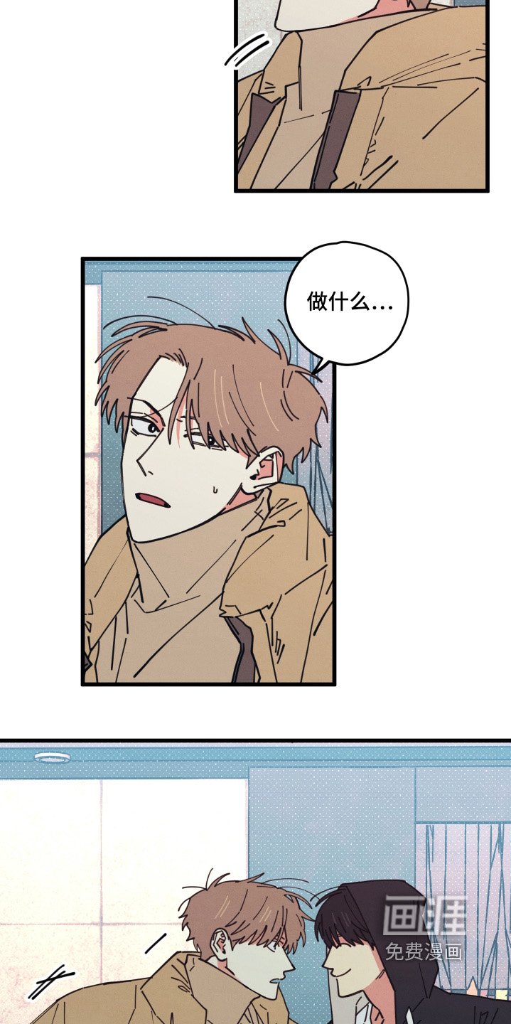 第19章：到底吃什么