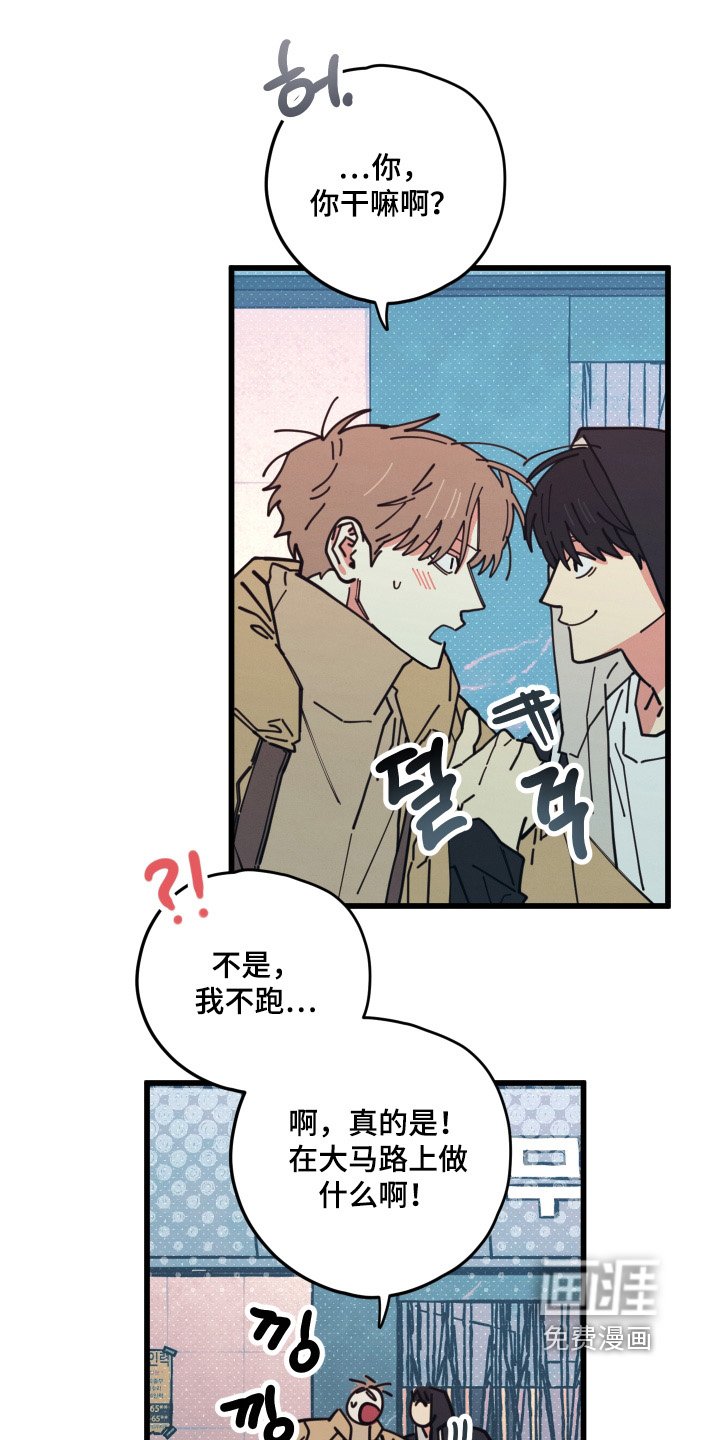 第19章：到底吃什么