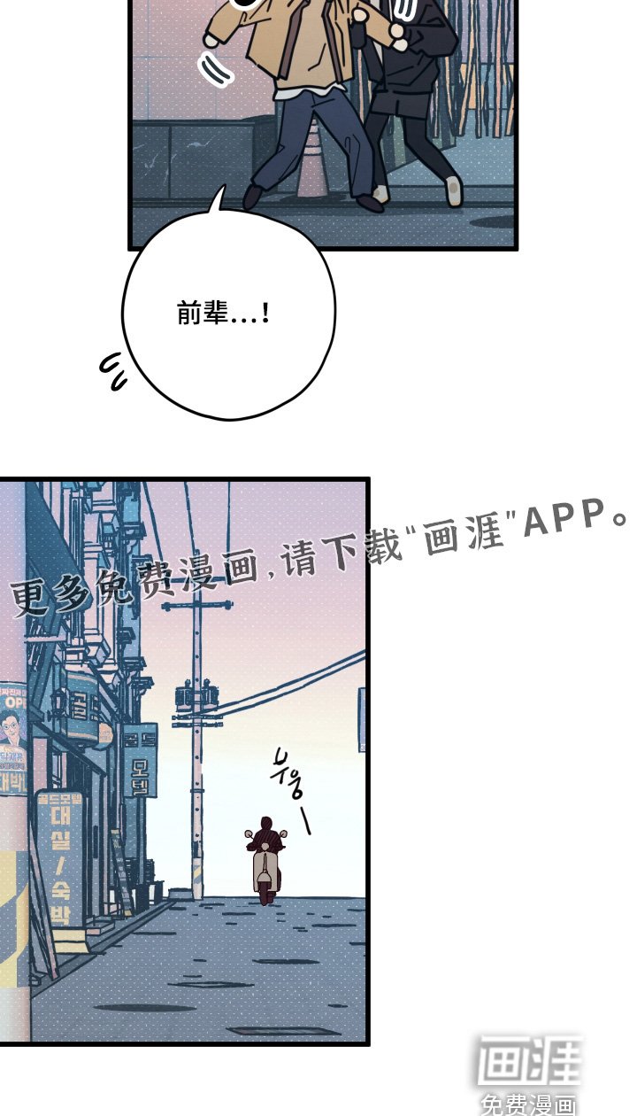 第19章：到底吃什么