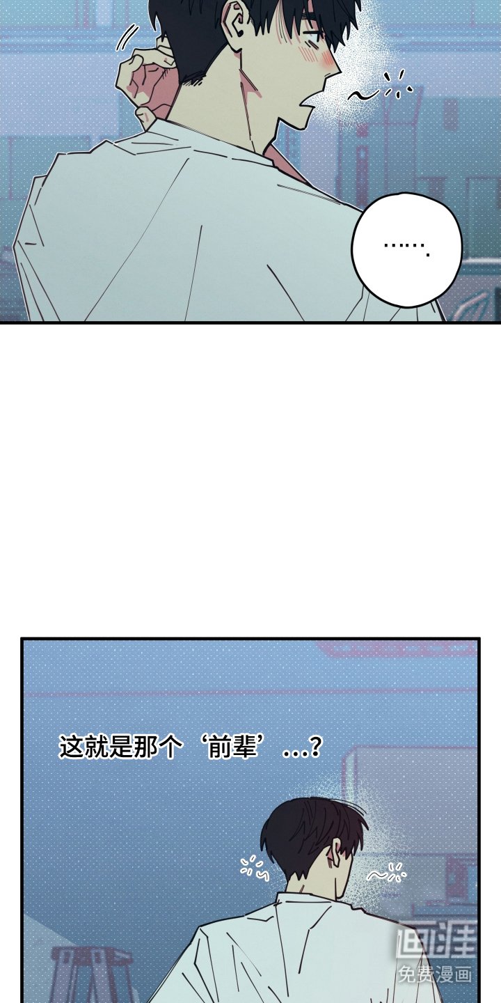 第4章：我看见了什么