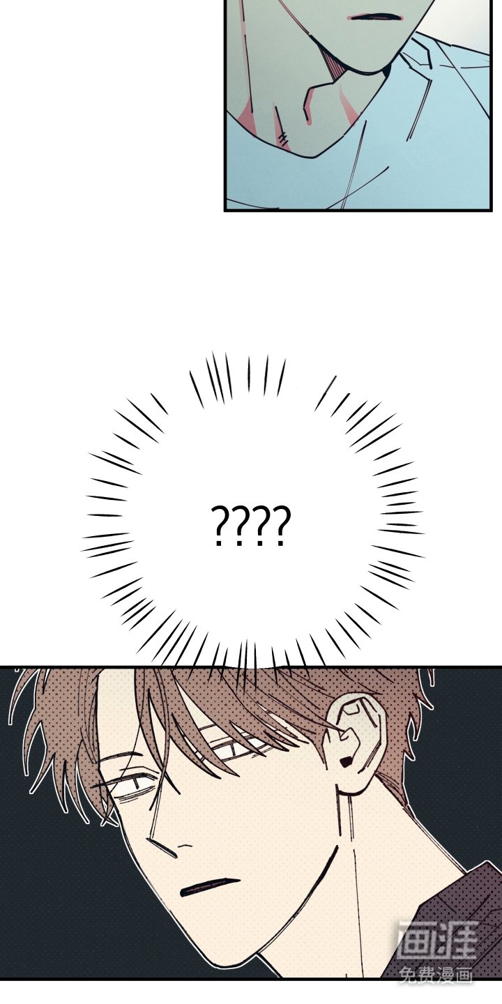 第4章：我看见了什么