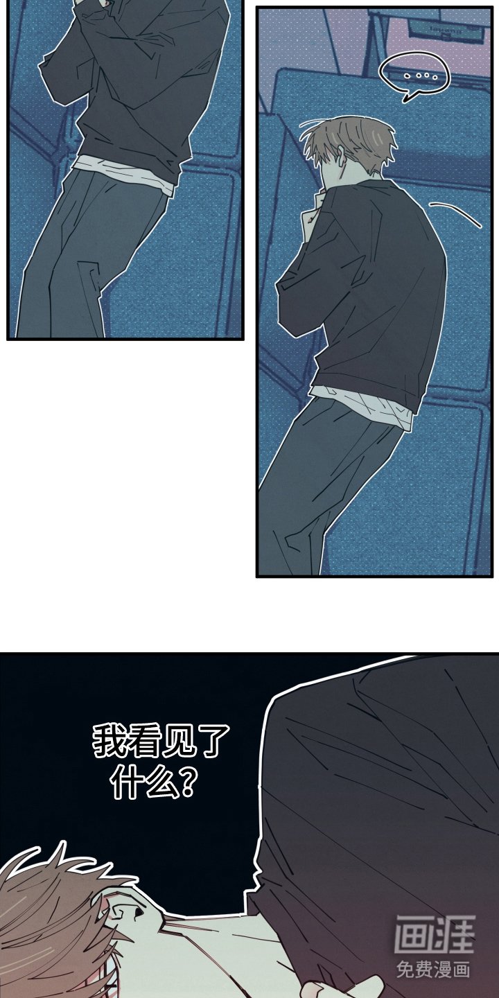 第4章：我看见了什么