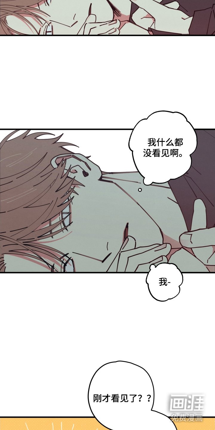 第4章：我看见了什么