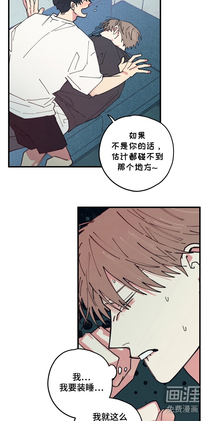 第4章：我看见了什么