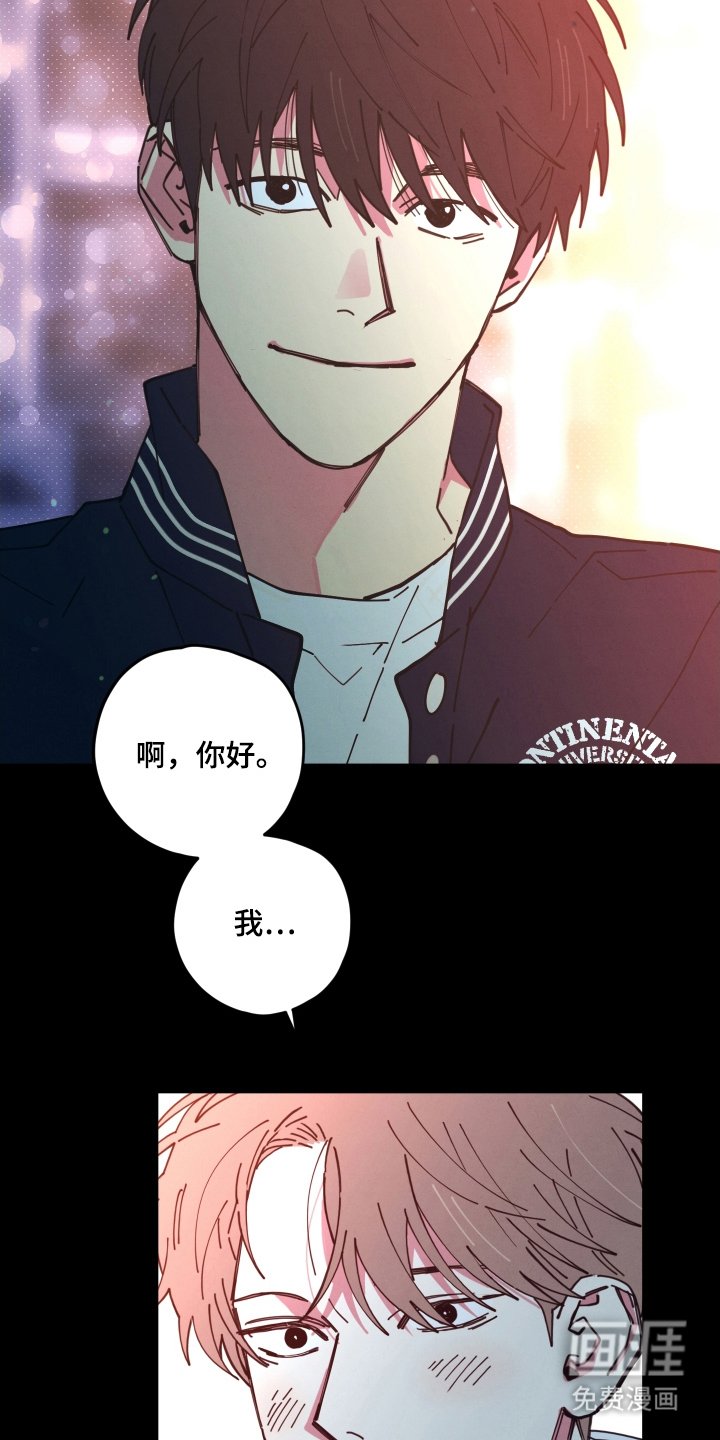 第7章：错过了什么