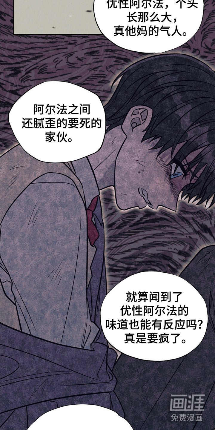 第12章：欺压
