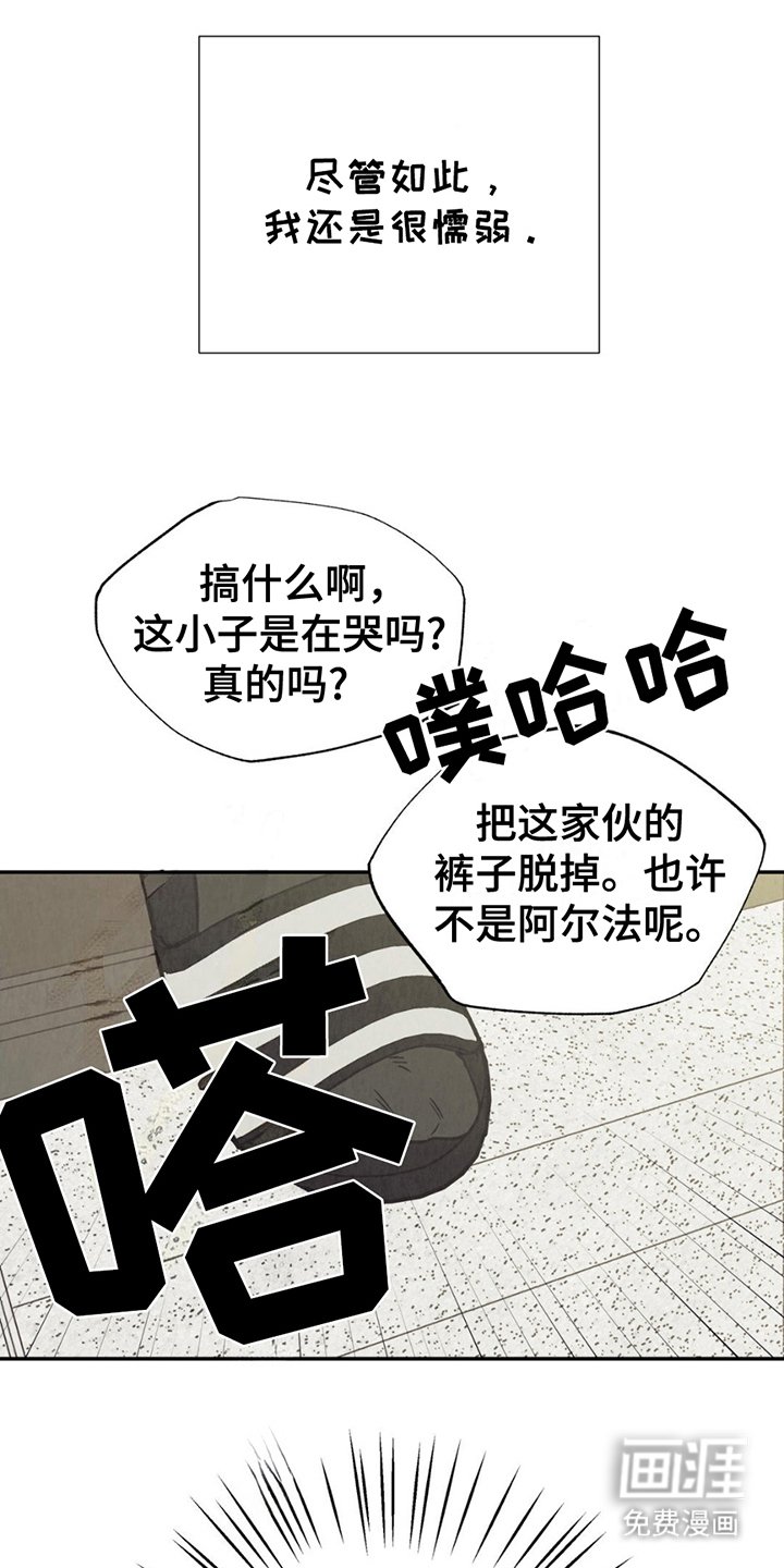 第13章：炫耀