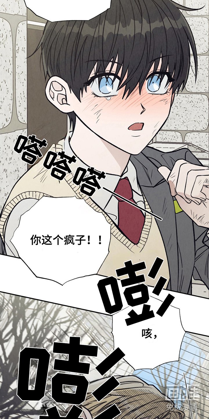 第13章：炫耀