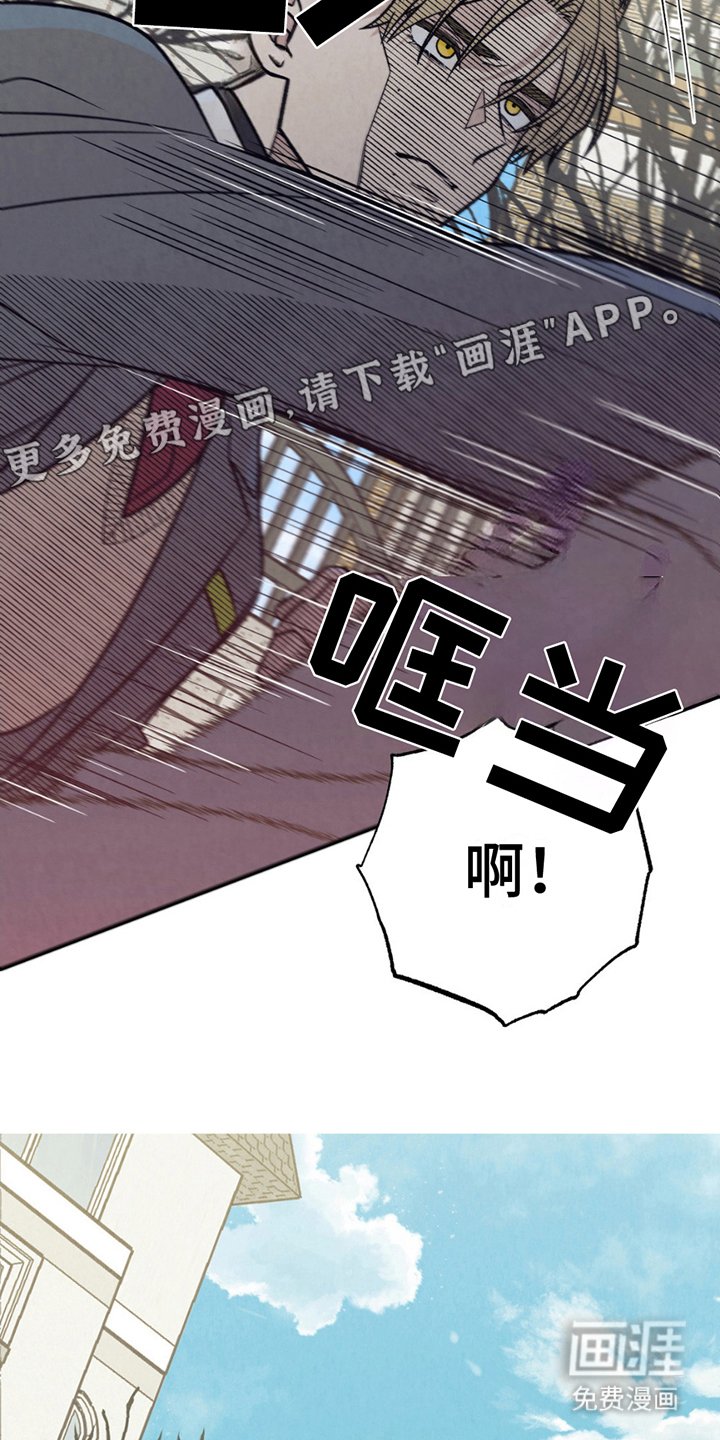 第13章：炫耀