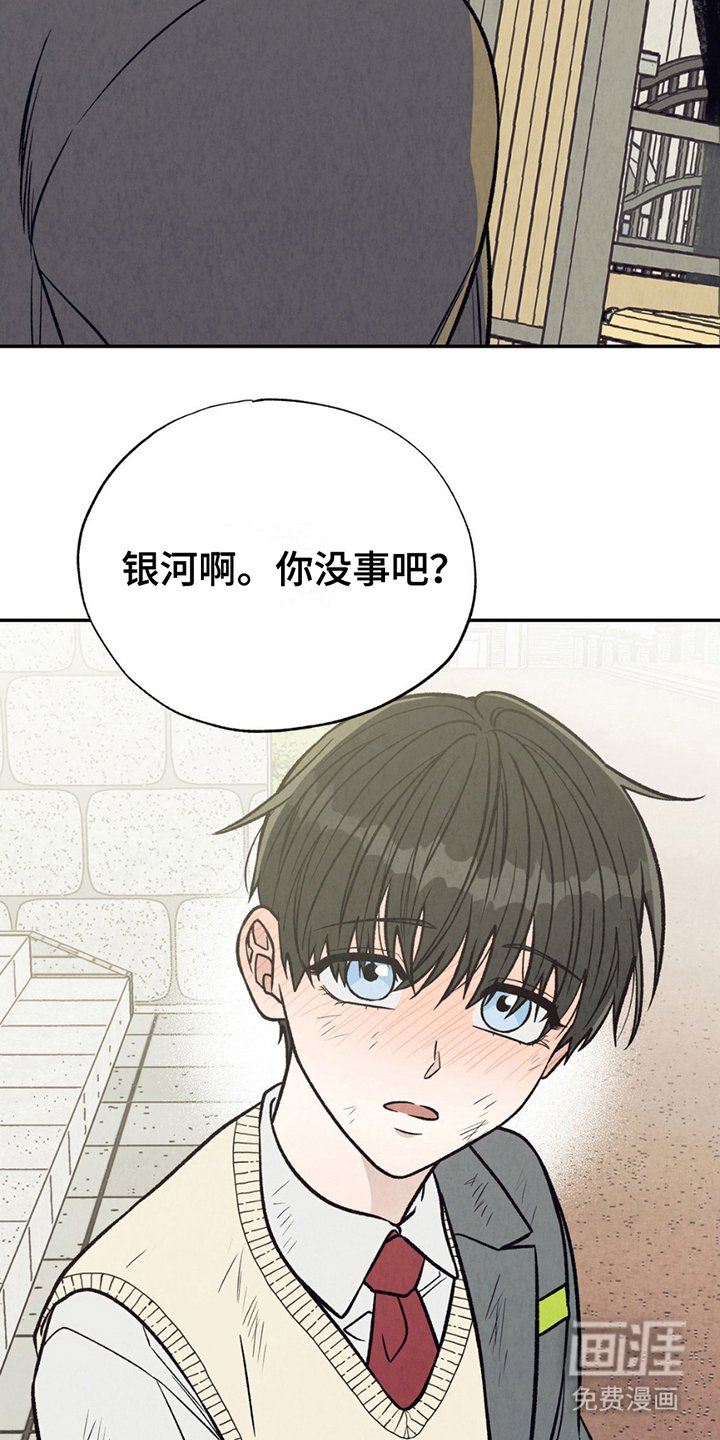 第13章：炫耀