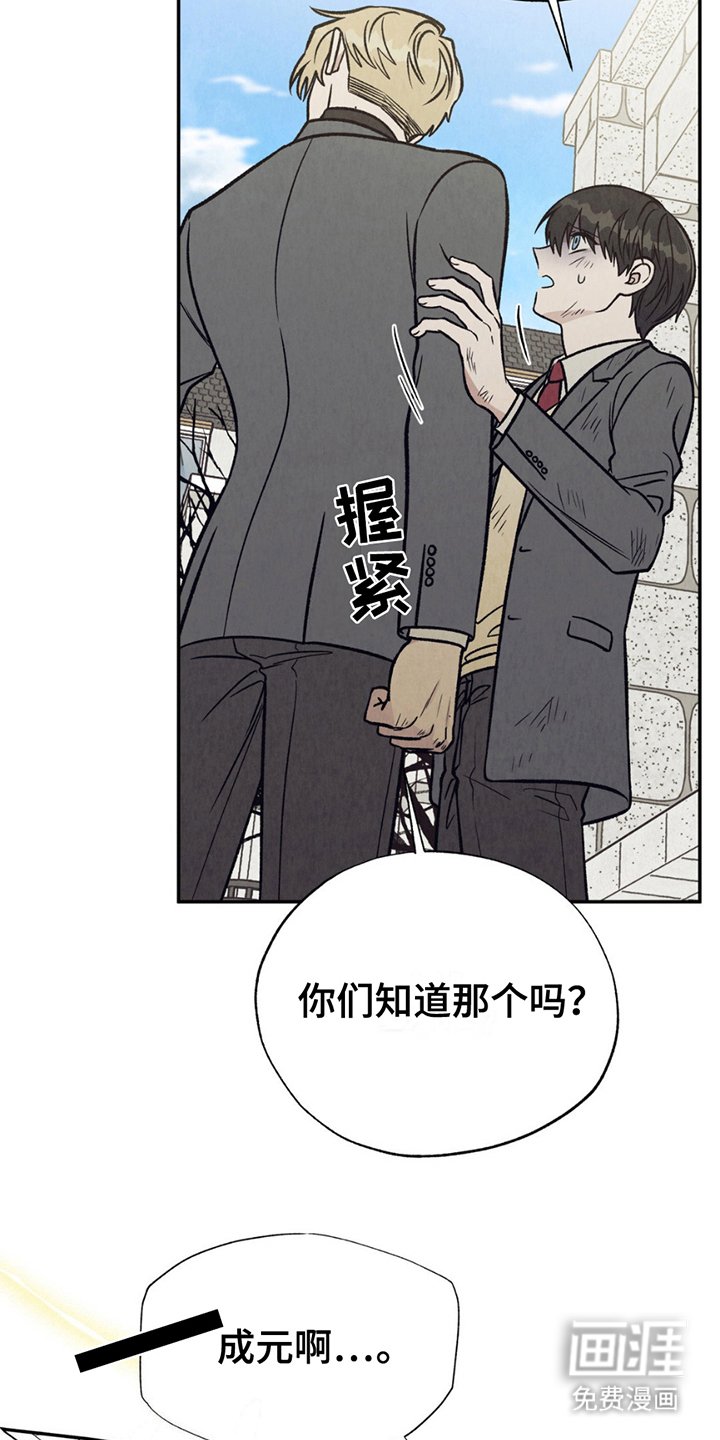 第13章：炫耀