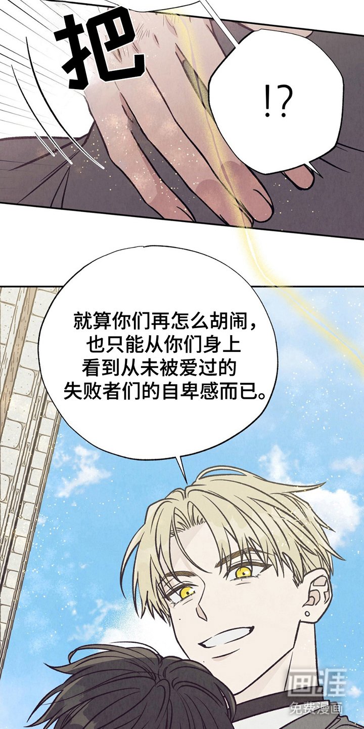 第13章：炫耀