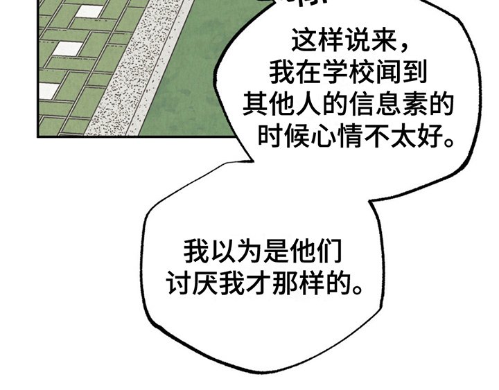 第19章：感受