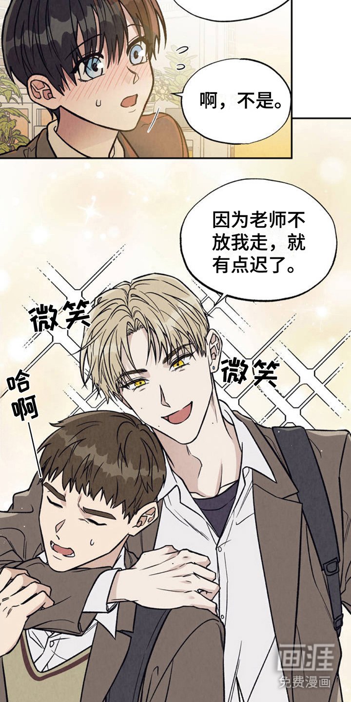 第2章：分化