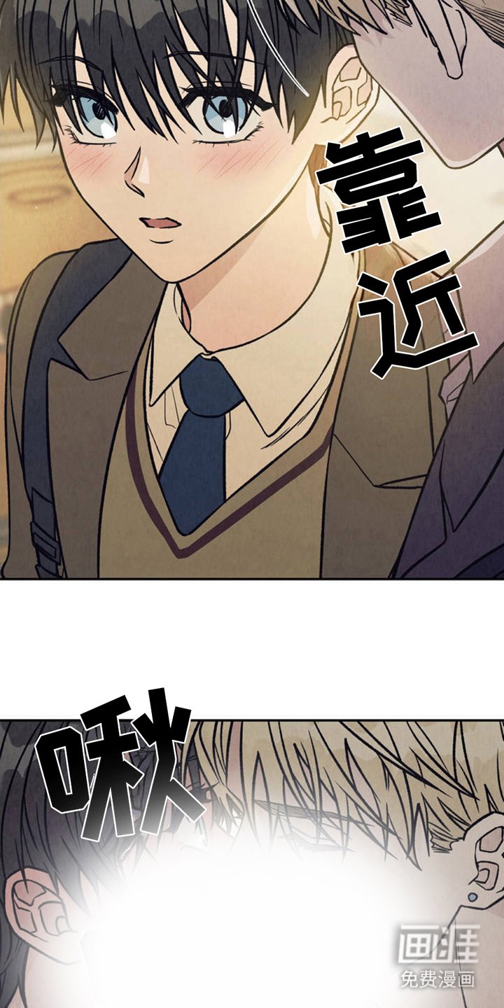 第2章：分化