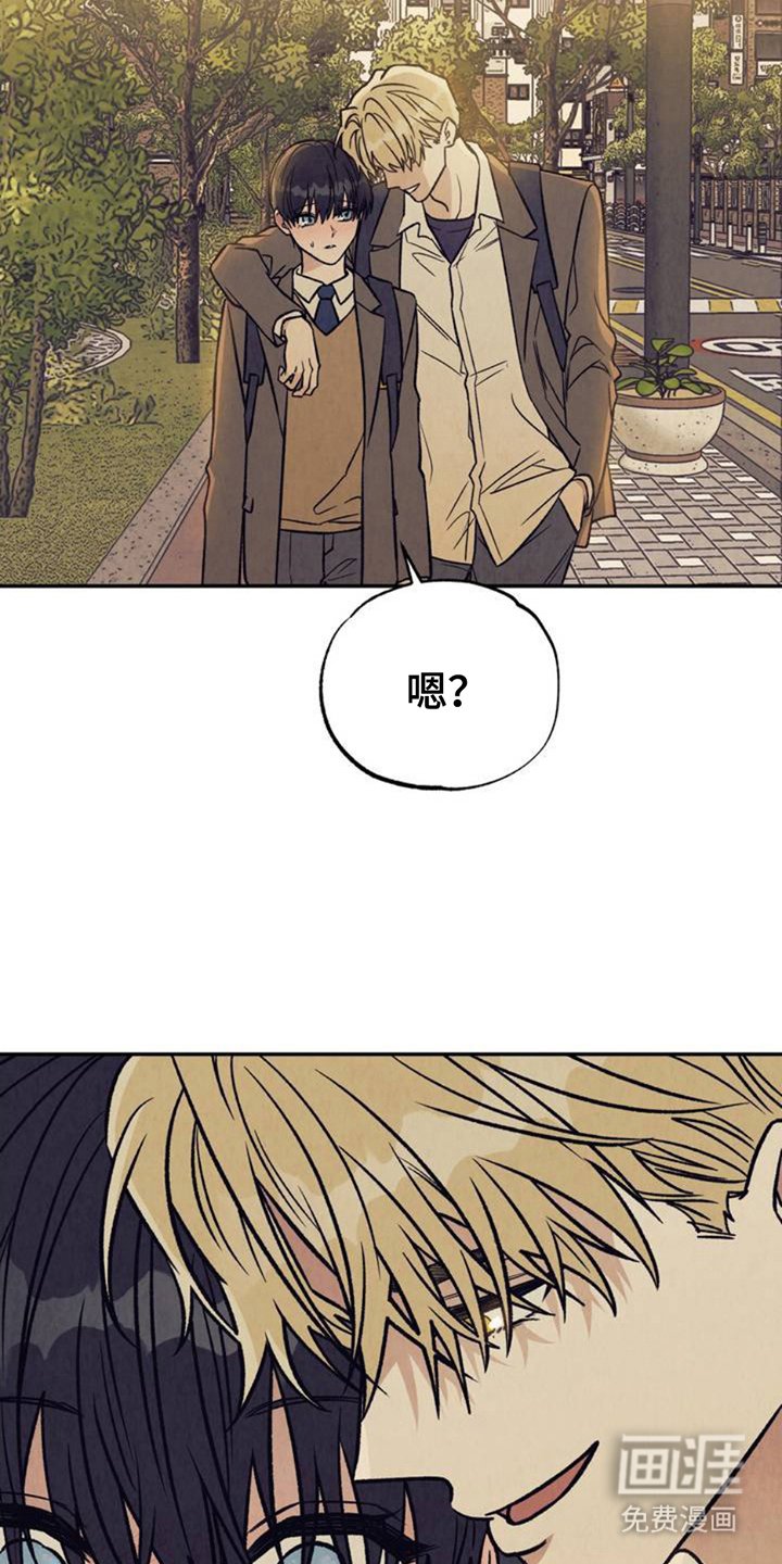 第2章：分化