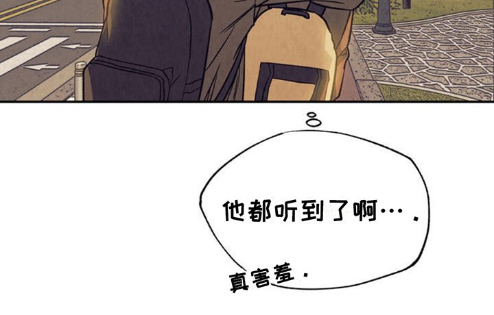 第2章：分化