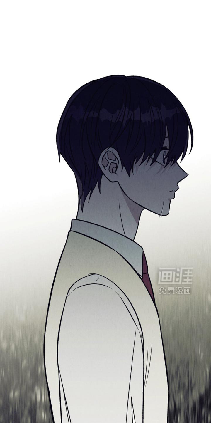 第29章：同样的心意