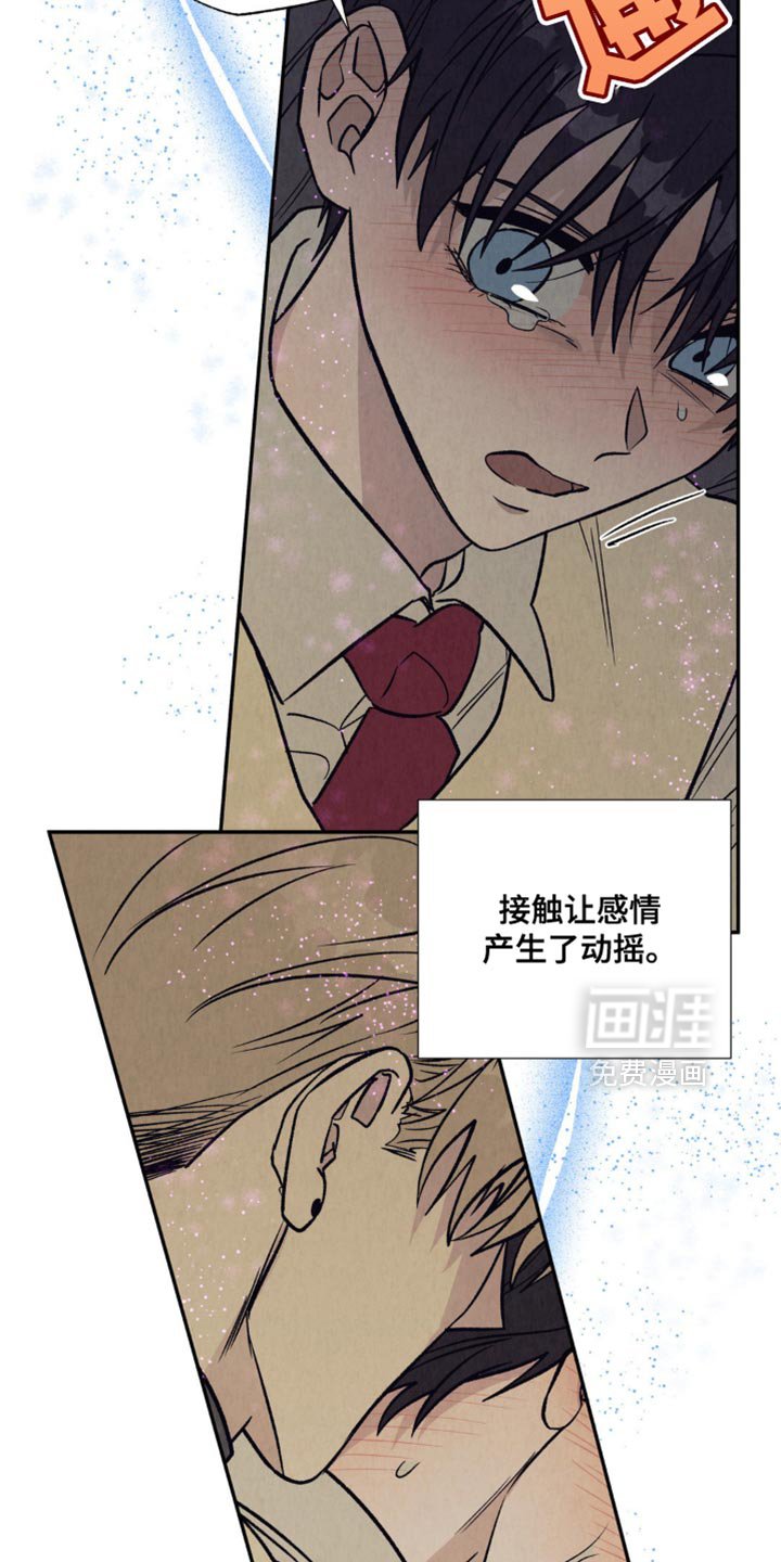 第29章：同样的心意
