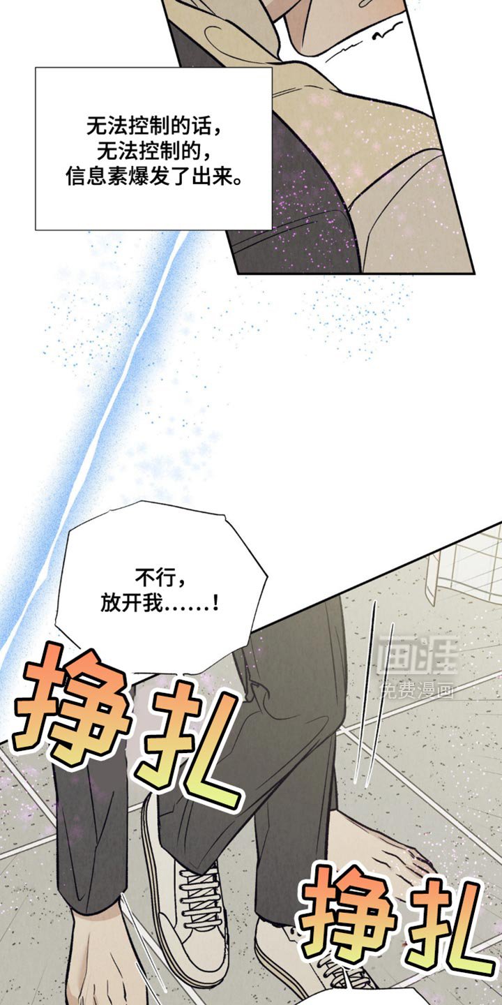 第29章：同样的心意