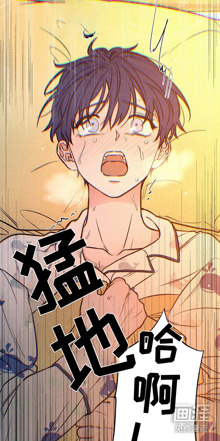 第6章：阿尔法