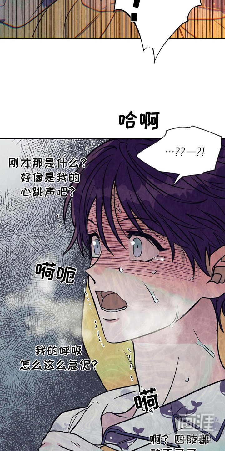 第6章：阿尔法