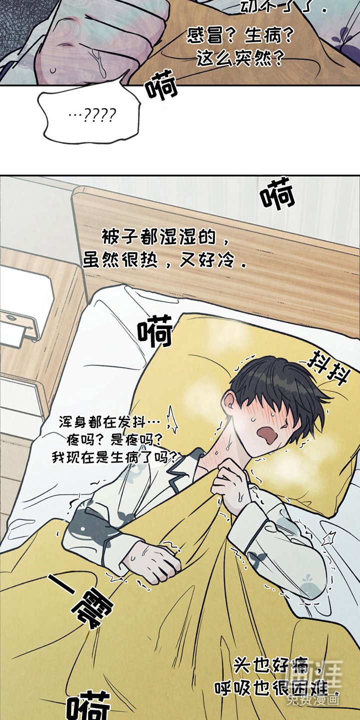 第6章：阿尔法