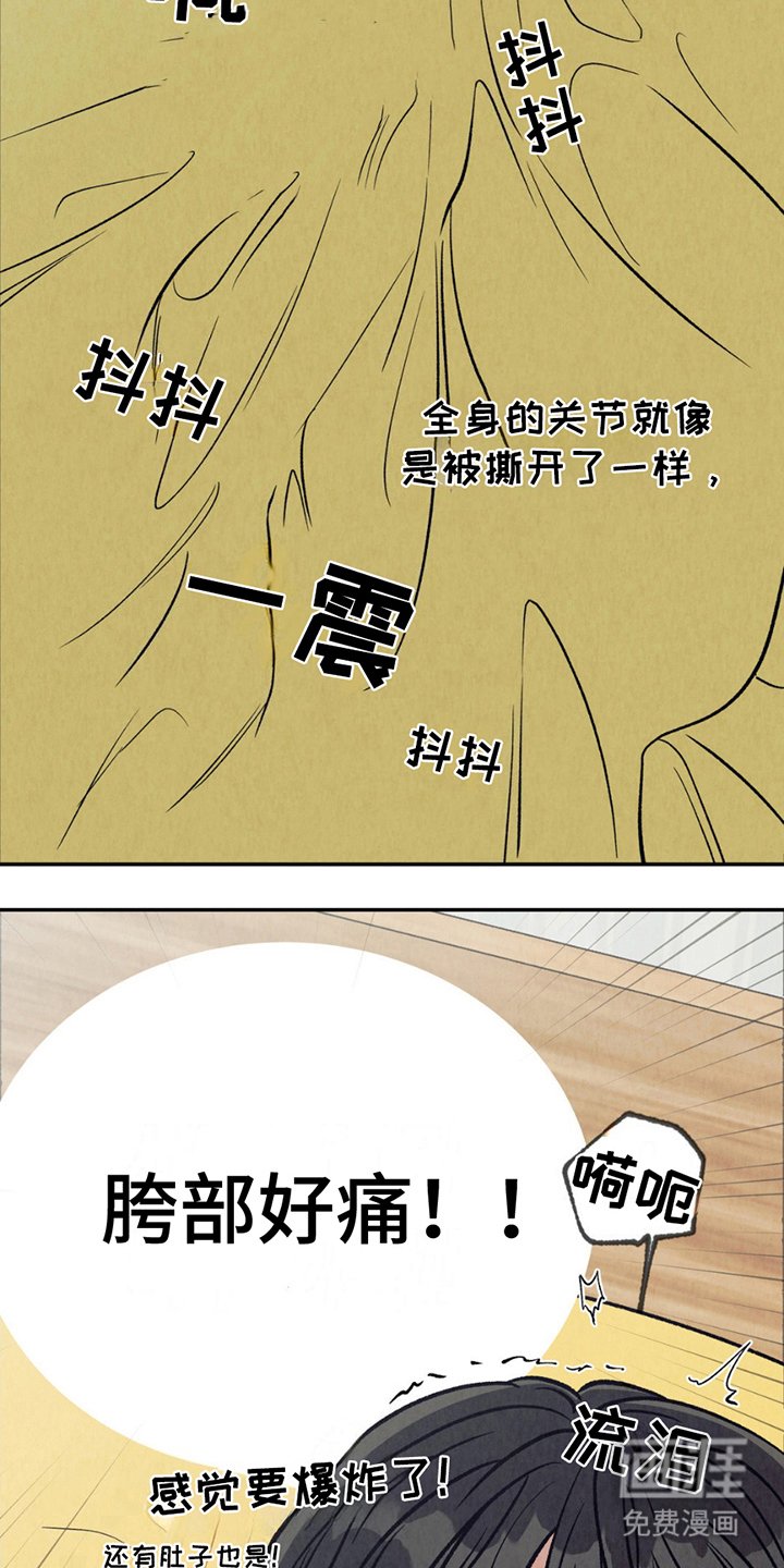 第6章：阿尔法