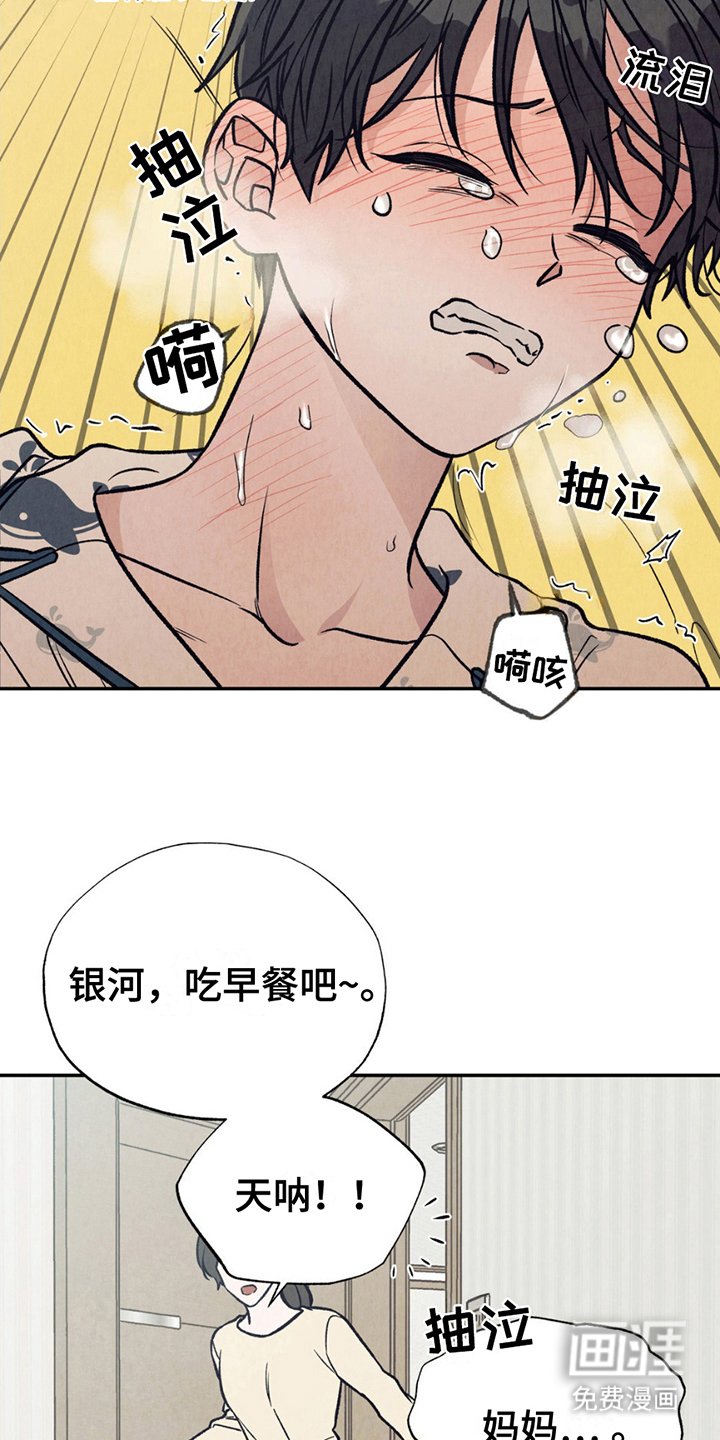 第6章：阿尔法