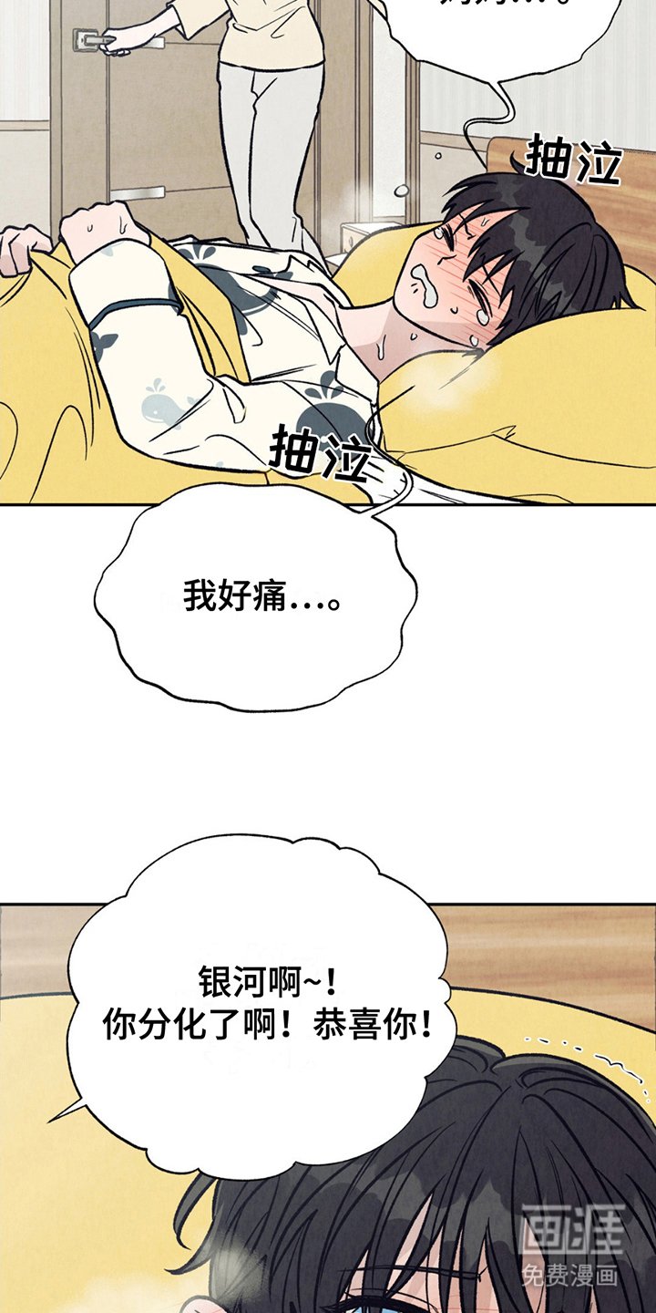 第6章：阿尔法