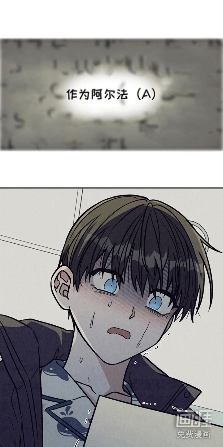 第6章：阿尔法