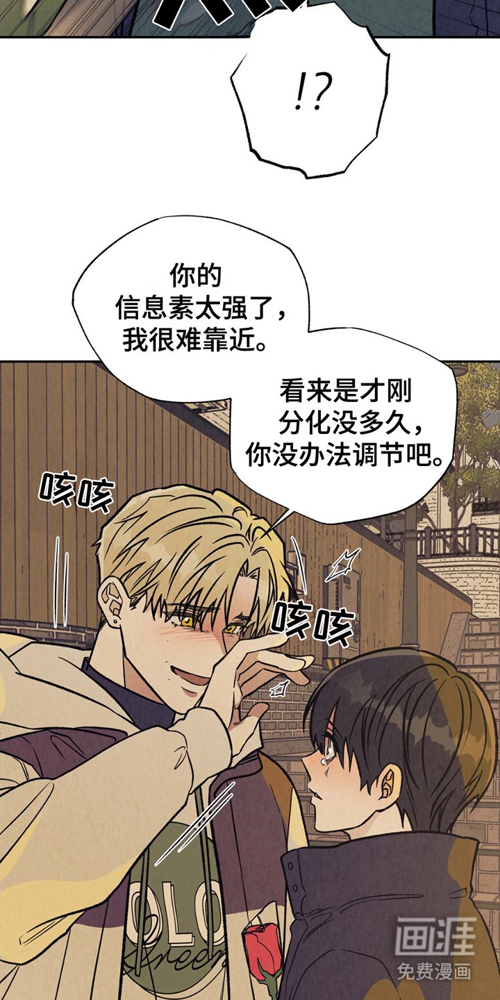 第8章：结束了