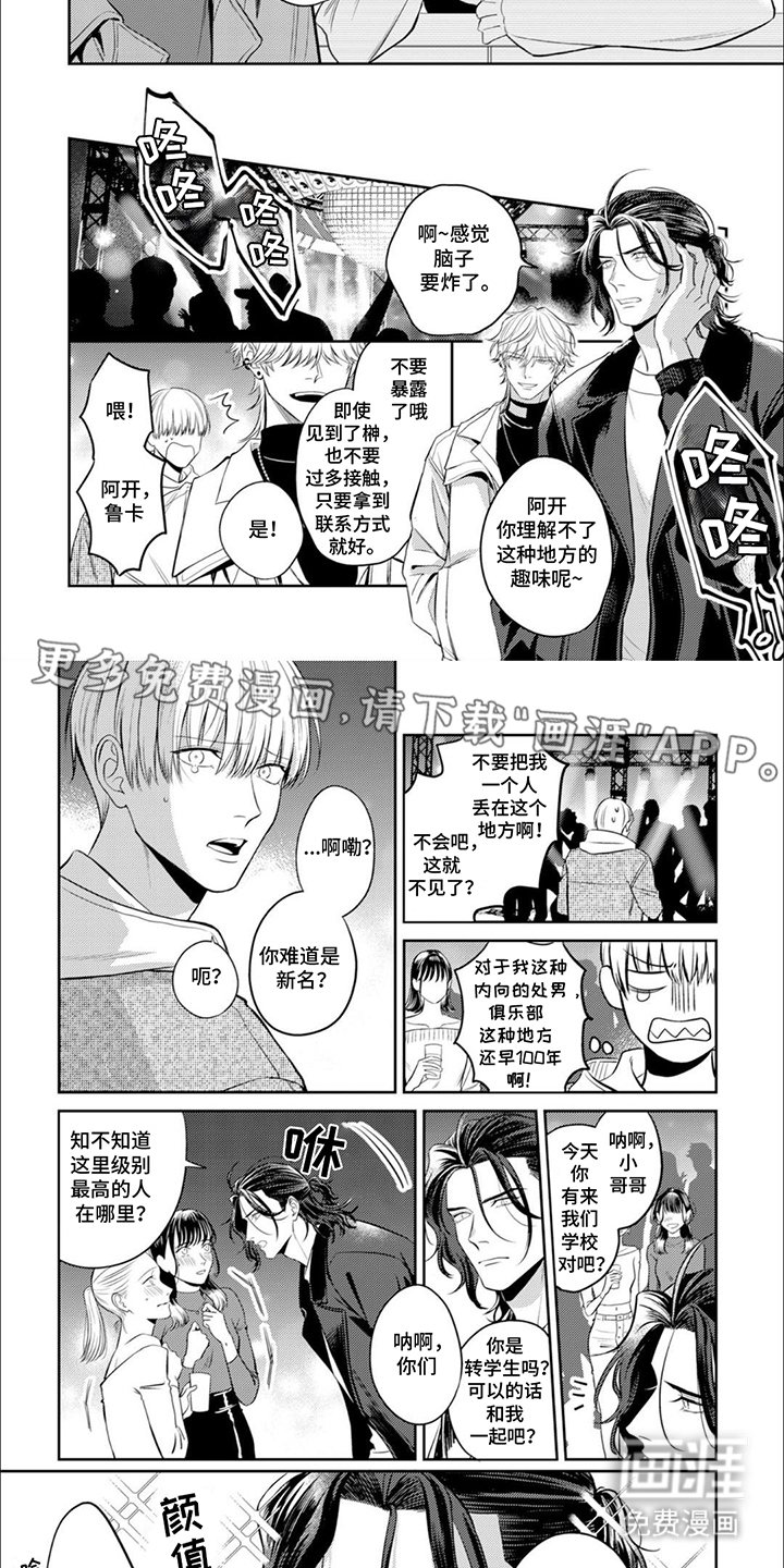 第13章：左膀右臂