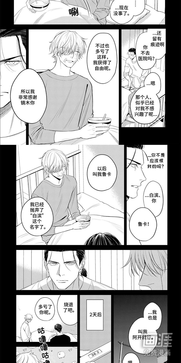 第14章：抛弃