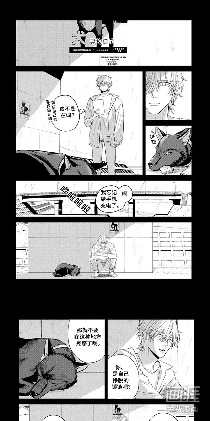 第17章：获得自由