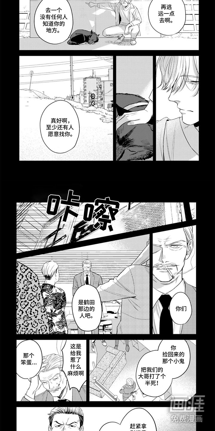 第17章：获得自由