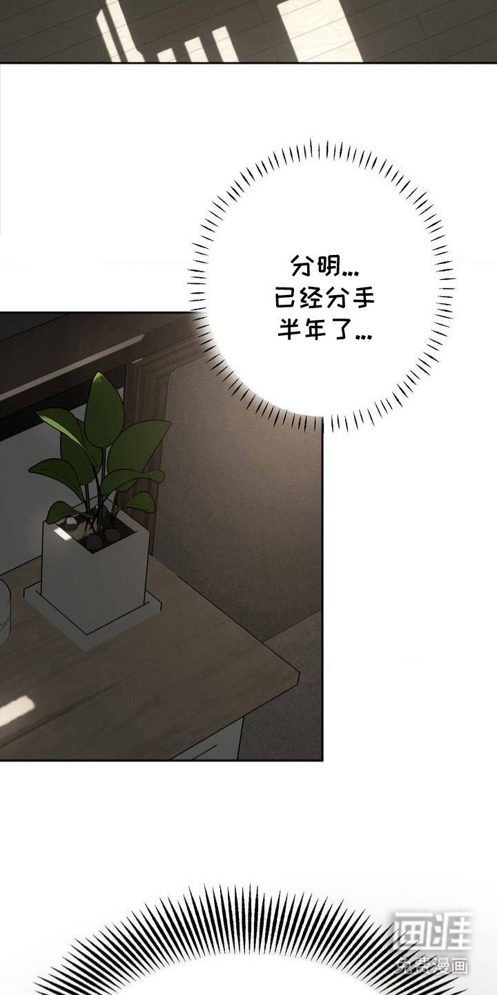 第1章：分手吧