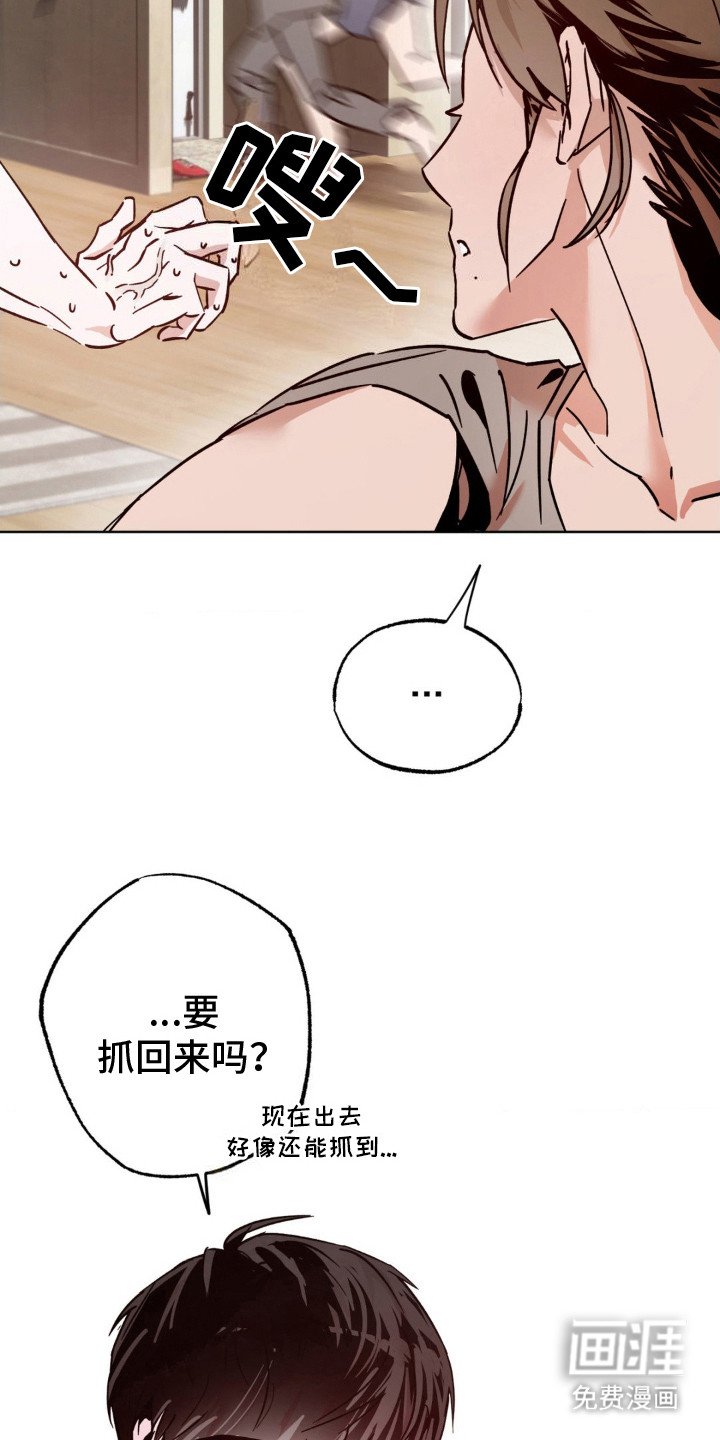 第13章： 幻想 