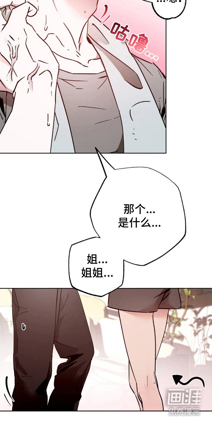 第13章： 幻想 