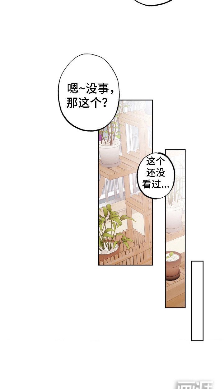 第13章： 幻想 