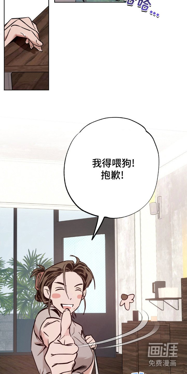第15章：咨询