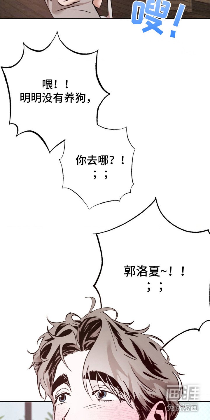 第15章：咨询