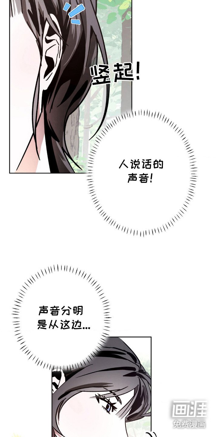 第17章：观察日记