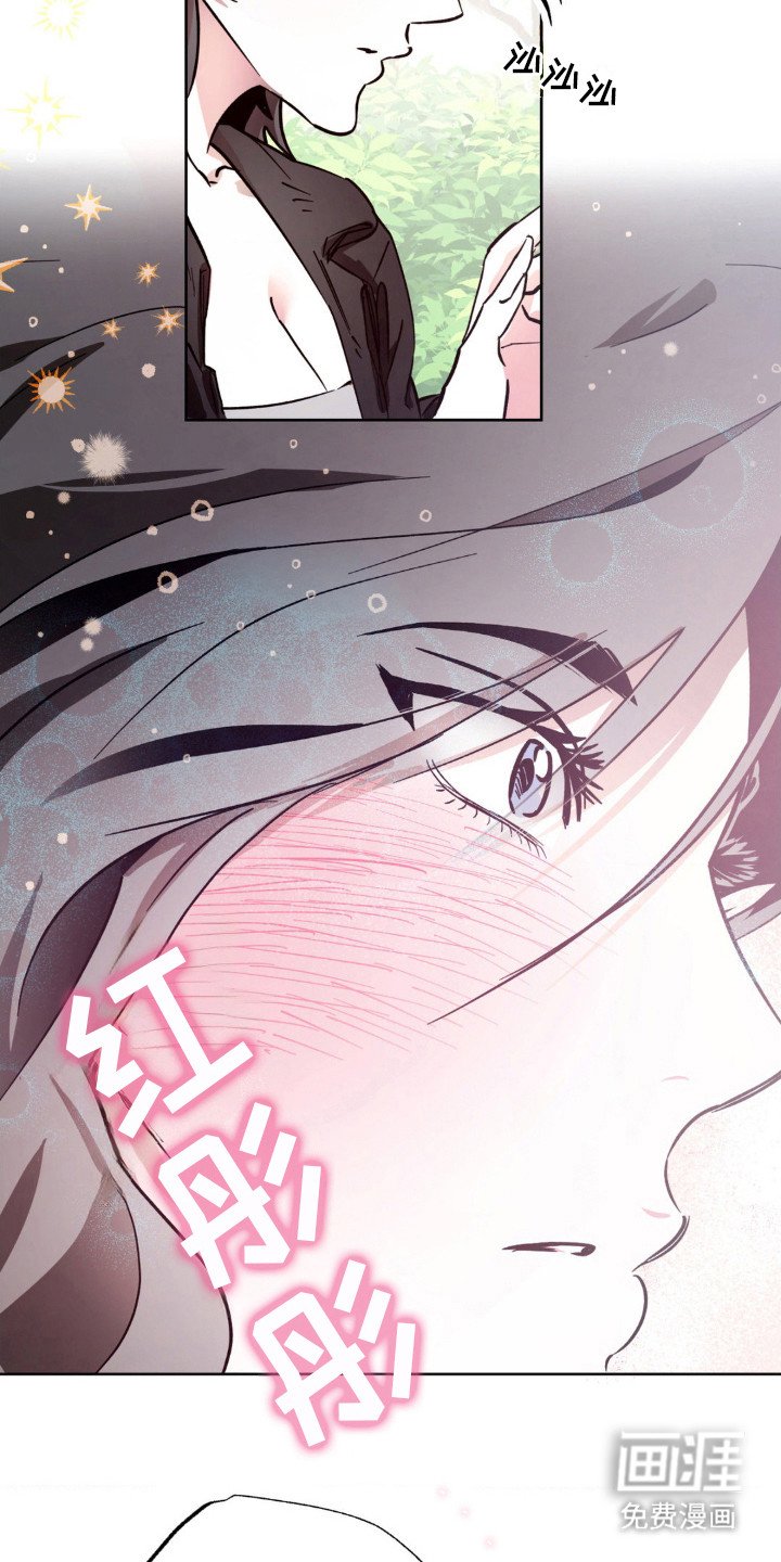 第17章：观察日记