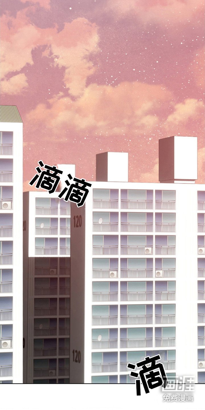 第17章：观察日记