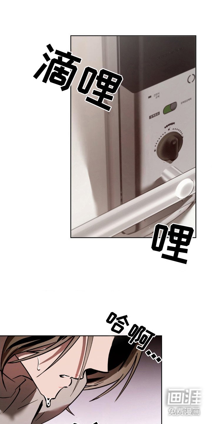 第17章：观察日记