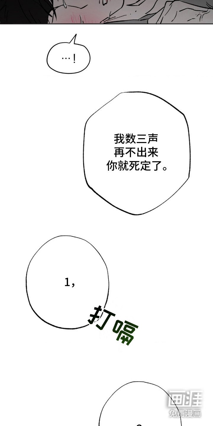 第20章：没看清